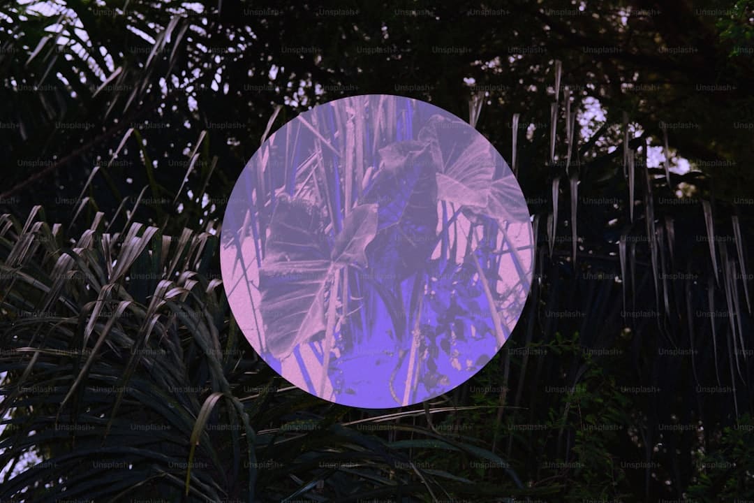 电影《假如哀痛能够解说》今天上映 相约七夕见证县城文学里的人世真情